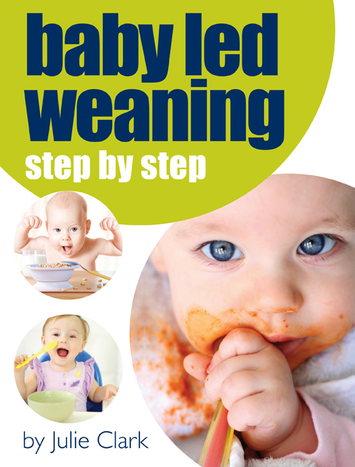 Baby Led Weaning, Step by Step Book by Julie Clark